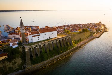 Tour del vino de Istra esloveno desde la costa eslovena